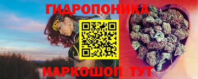 скорость Можга